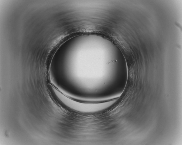 X0000096220540200802011345