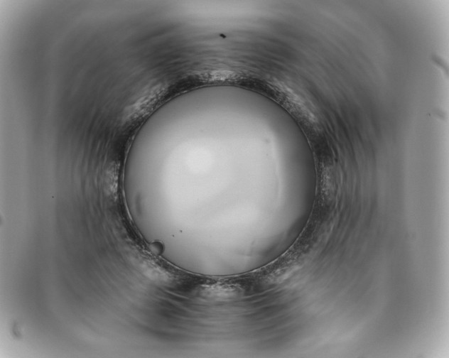 X0000096220545200802011345