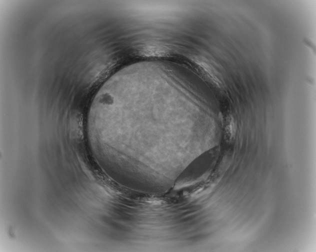 X0000096220547200802011345