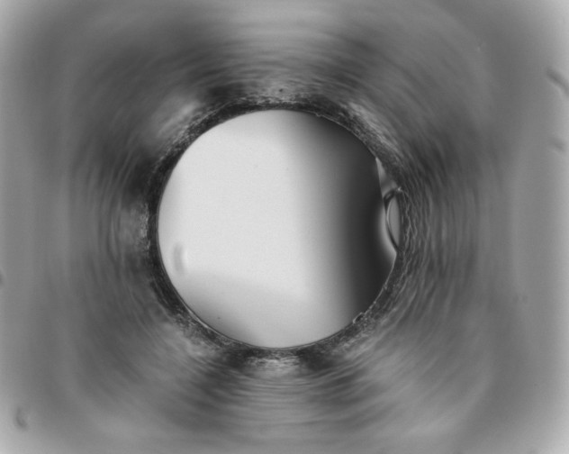 X0000096220548200802011345