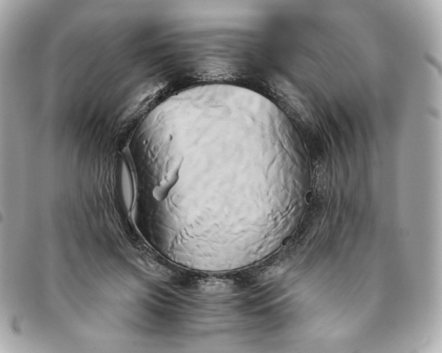 X0000096220549200802011345