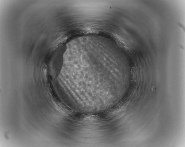 X0000096220550200802011345