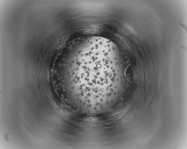 X0000096220551200802011345