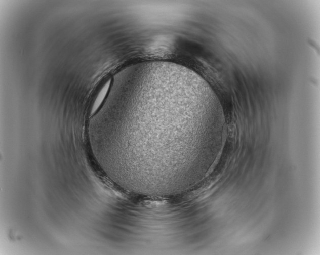 X0000096220552200802011345