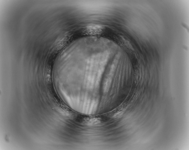 X0000096220553200802011345