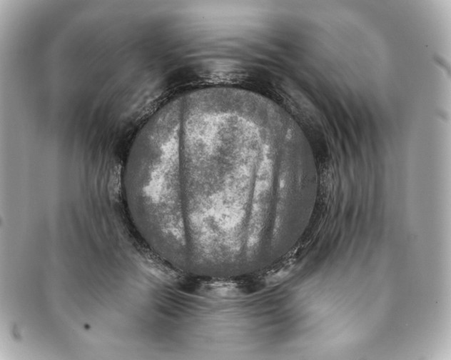 X0000096220554200802011345