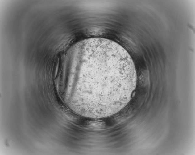 X0000096220555200802011345