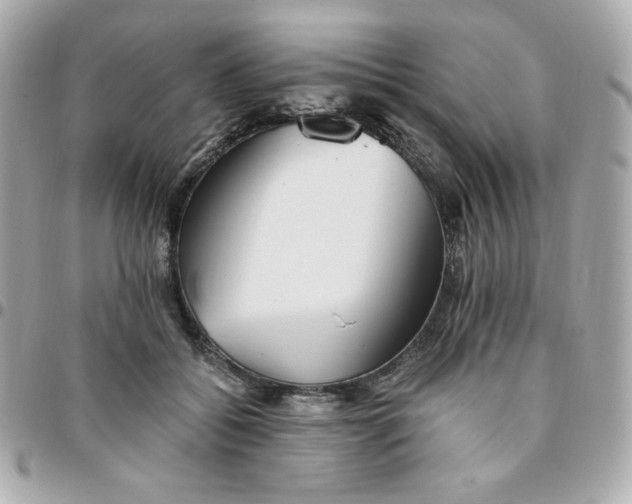 X0000096220556200802011345