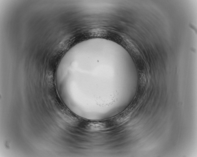 X0000096220557200802011345