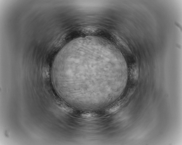 X0000096220561200802011346