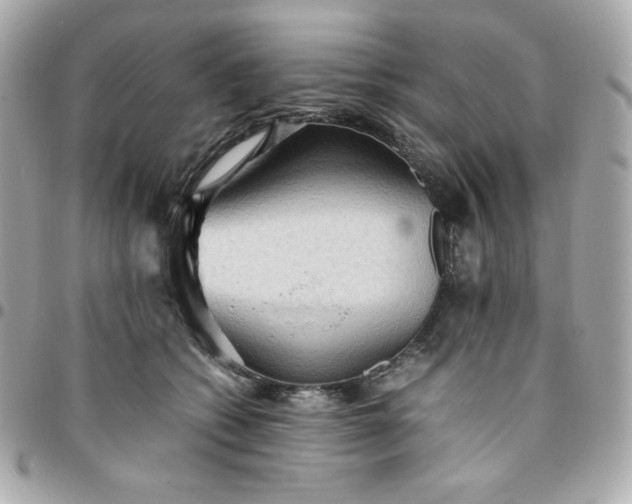 X0000096220562200802011346