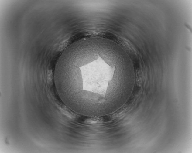 X0000096220563200802011346