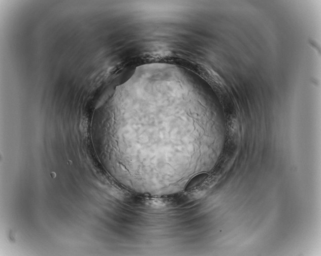 X0000096220565200802011346