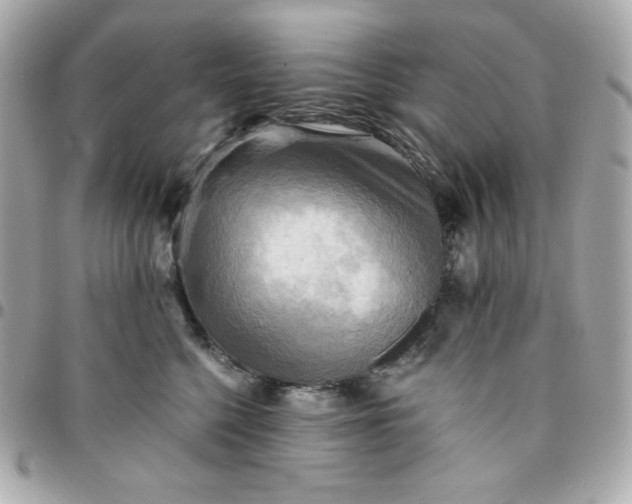 X0000096220568200802011346