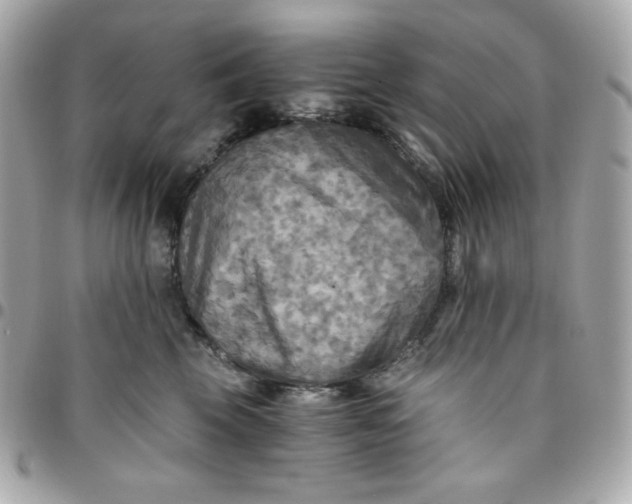 X0000096220569200802011346