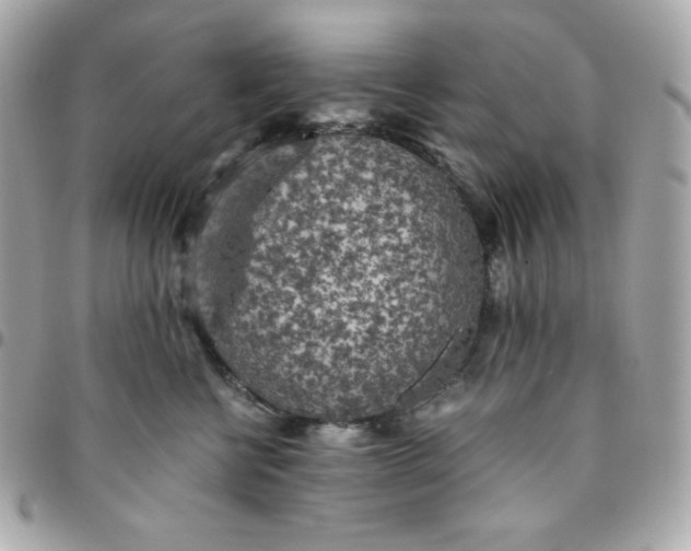 X0000096220570200802011346