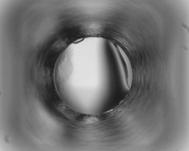 X0000096220572200802011346