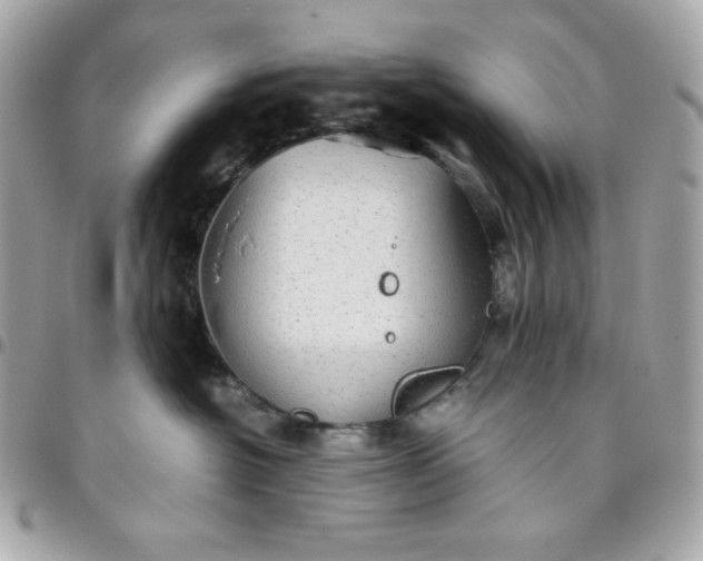 X0000096220574200802011346