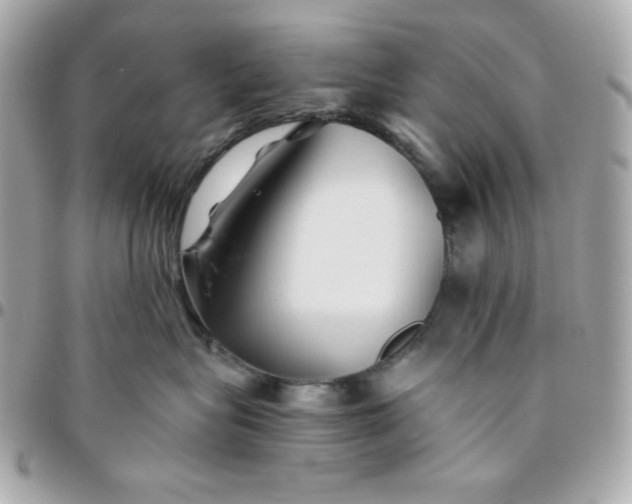 X0000096220575200802011346