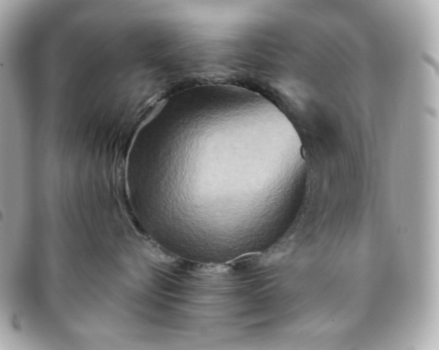 X0000096220576200802011346