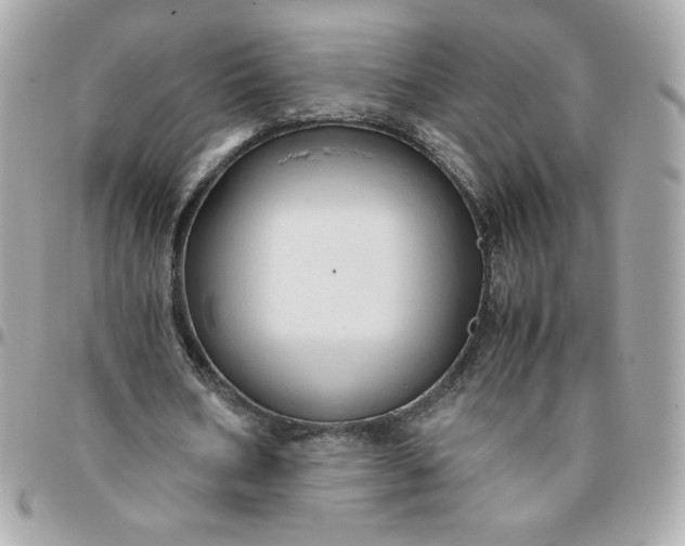 X0000096220578200802011345