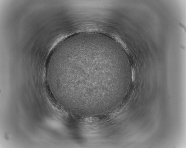 X0000096220579200802011345