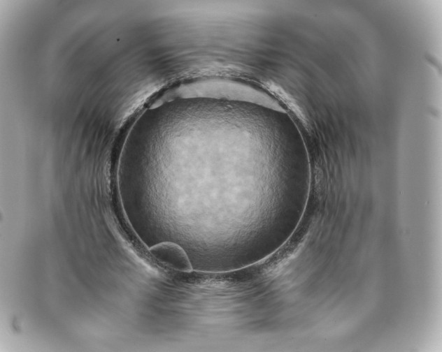 X0000096220581200802011345