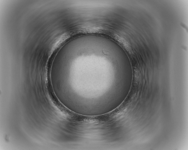 X0000096220582200802011345