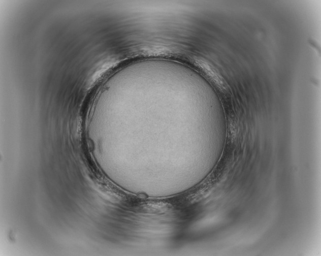 X0000096220583200802011345