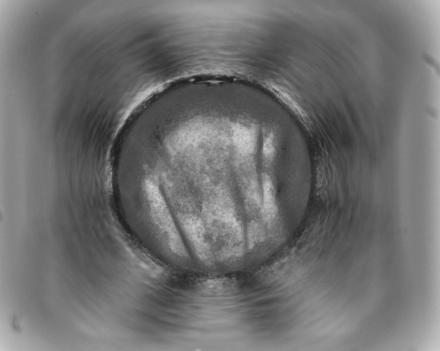 X0000096220584200802011345