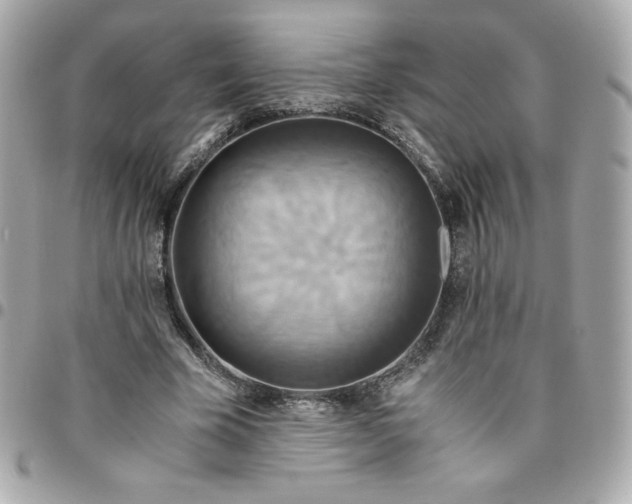 X0000096220585200802011345