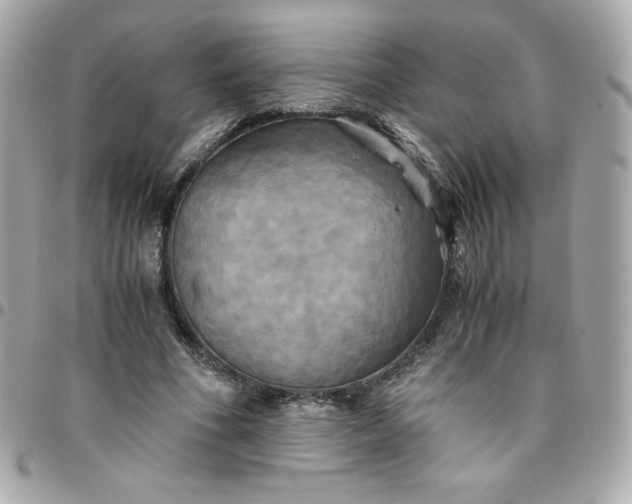 X0000096220586200802011345