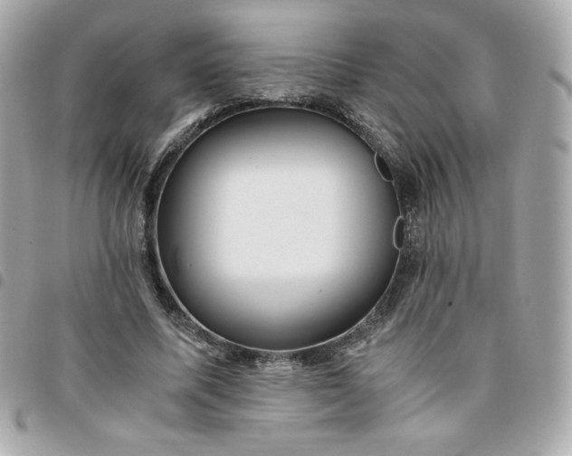 X0000096220587200802011345