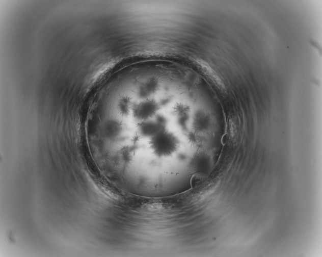 X0000096220588200802011345