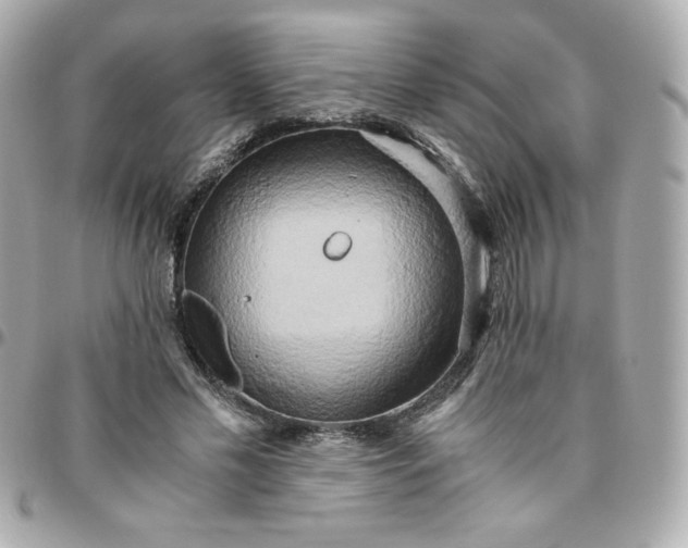 X0000096220589200802011345