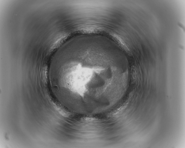 X0000096220590200802011345