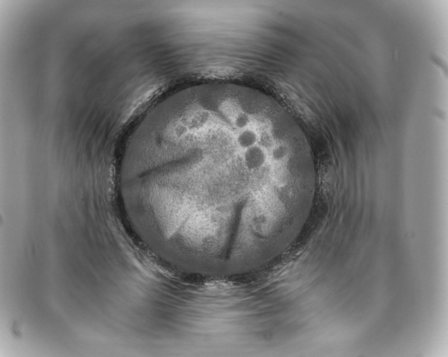 X0000096220591200802011345