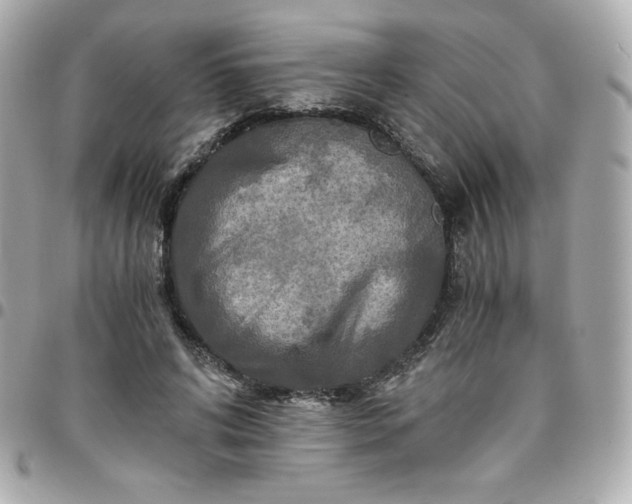 X0000096220592200802011345