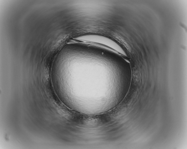 X0000096220593200802011345