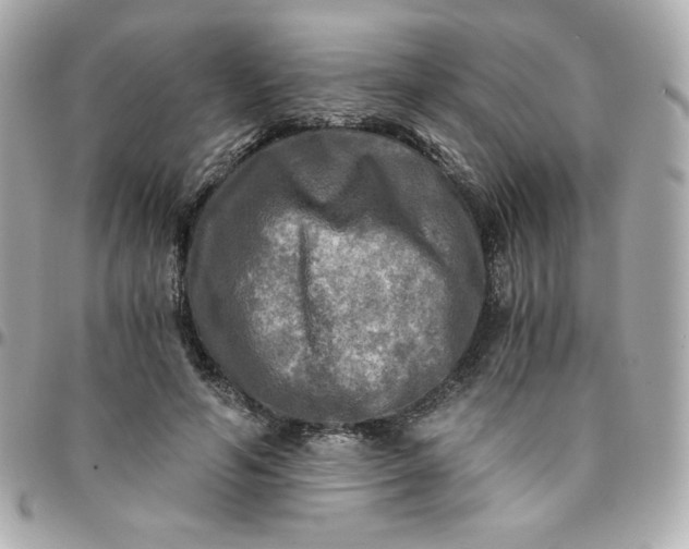 X0000096220594200802011345