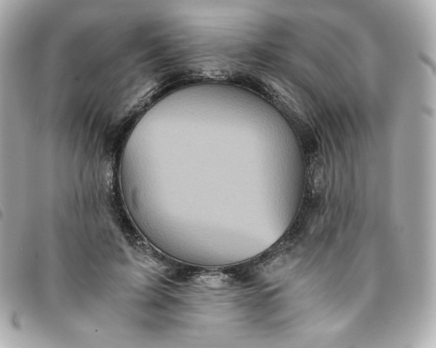 X0000096220595200802011345