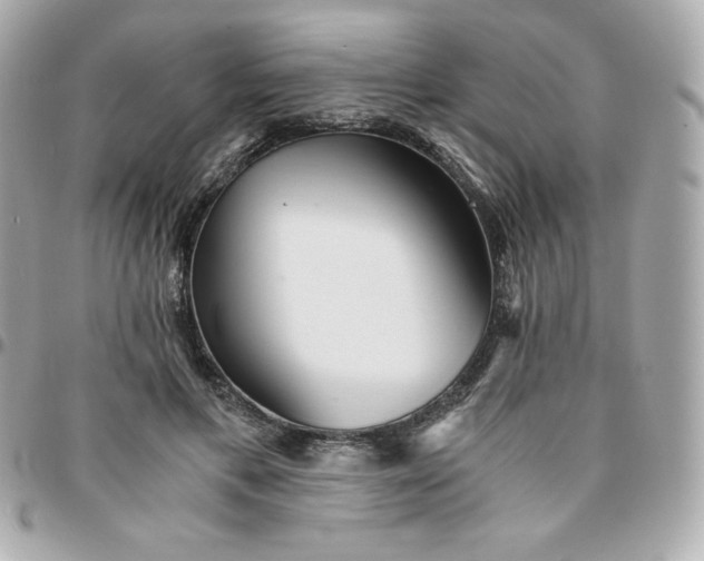 X0000096220597200802011345