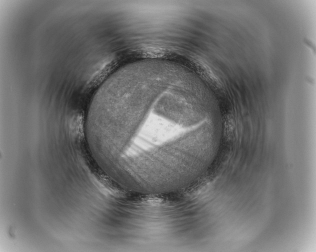 X0000096220598200802011345