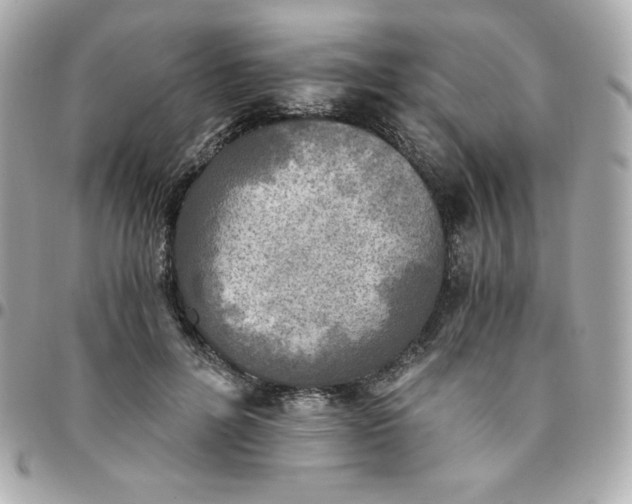 X0000096220600200802011345