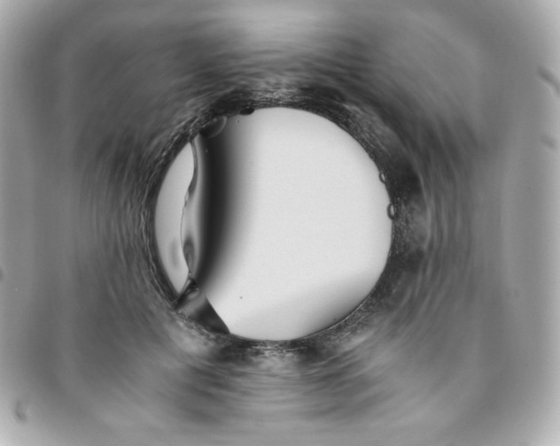 X0000096220601200802011345