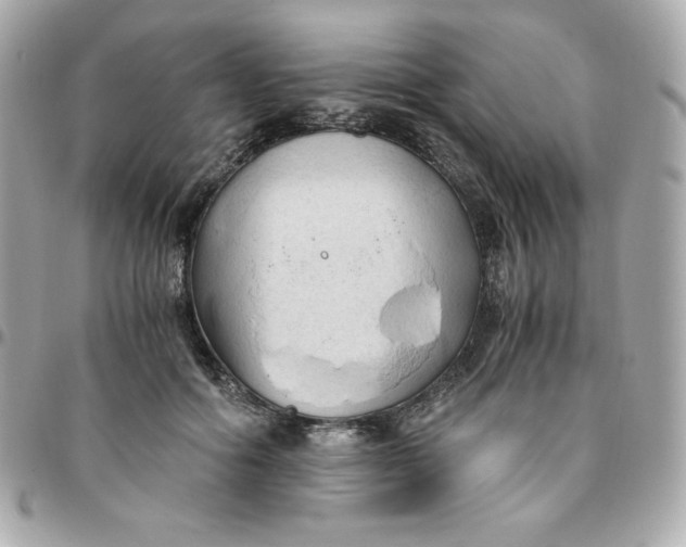 X0000096220602200802011345