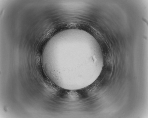 X0000096220603200802011345