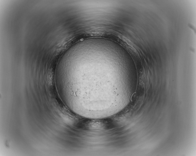 X0000096220604200802011345