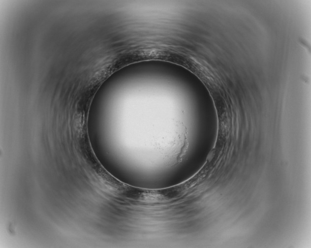 X0000096220605200802011345