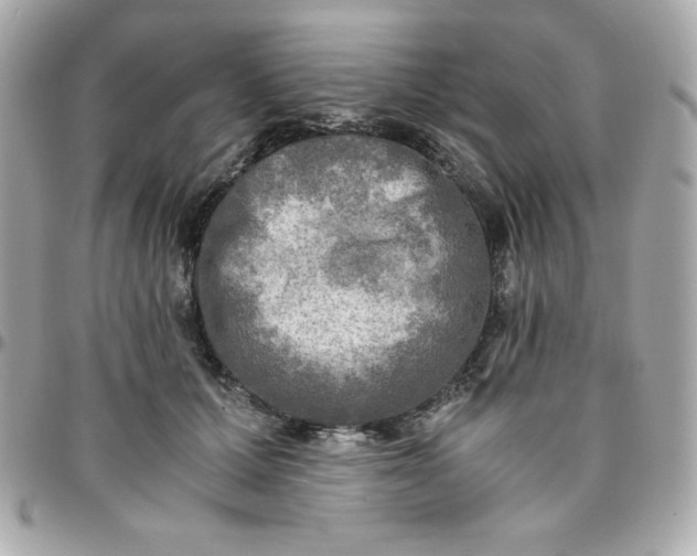 X0000096220607200802011345